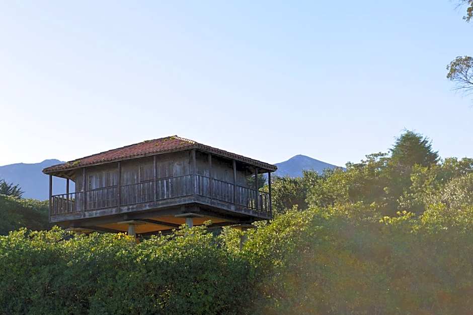 Hotel The Island