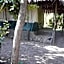 Cactus Eco Camp and Lodge