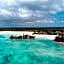 The Island - Pongwe Lodge