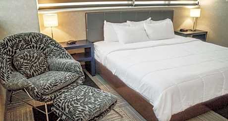 1 King Bed, Non-Smoking, Pet Friendly Room, Coffee Maker, Flat Screen Television, Hairdryer, Iron An