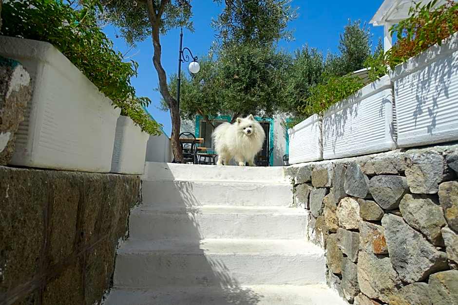 Il Capriccio Guesthouse