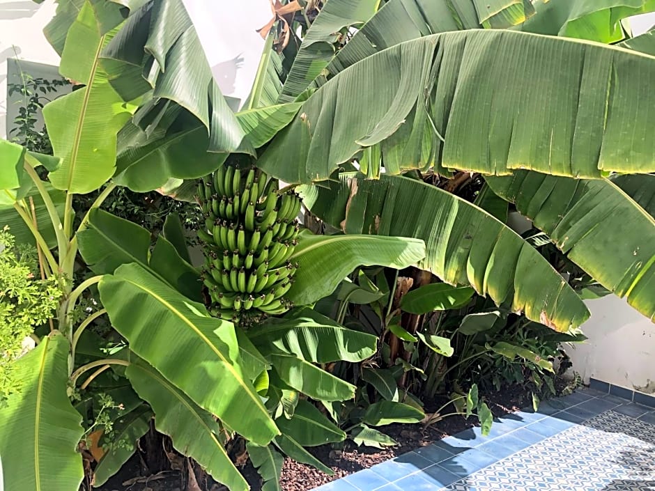 Casa Apollo Guesthouse