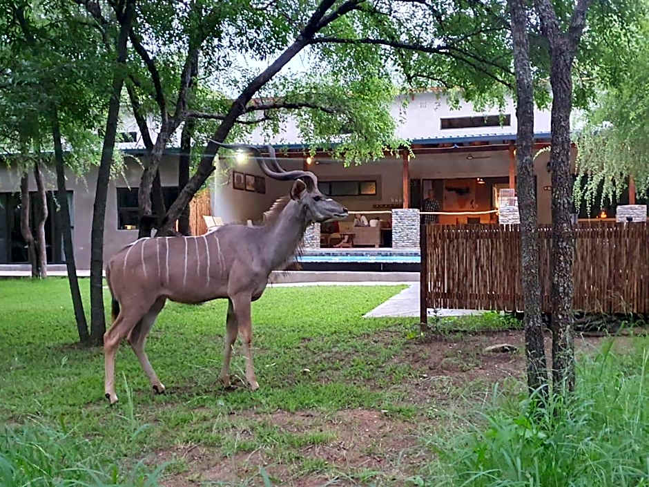Dream of Africa Bush Lodge
