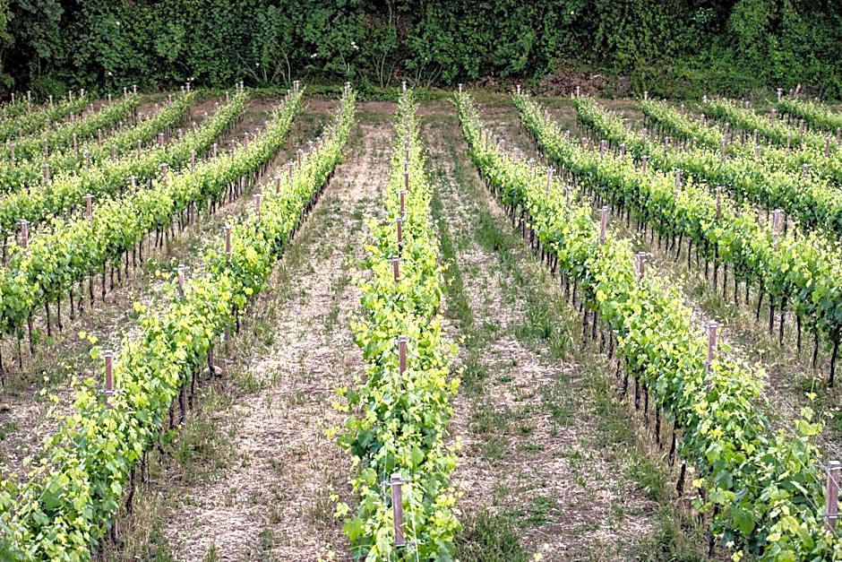 Borgo Baccile by Vini Fantini