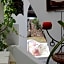Hotel O Palmo