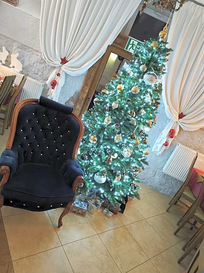 Harmont Montis- dawna Zającówka- IDEALNA lokalizacja - leśna enklawa w centrum miasta! Sauna, masaże, zabiegi spa!