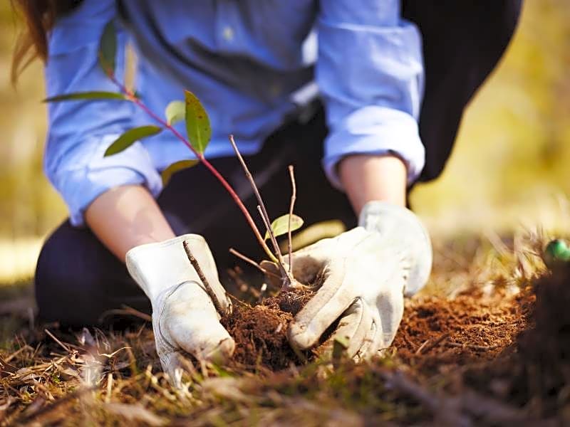 Emirates One&Only Wolgan Valley