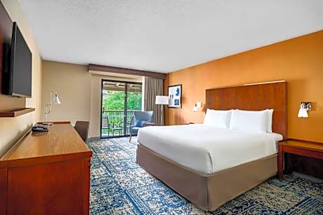 King Room with Garden View