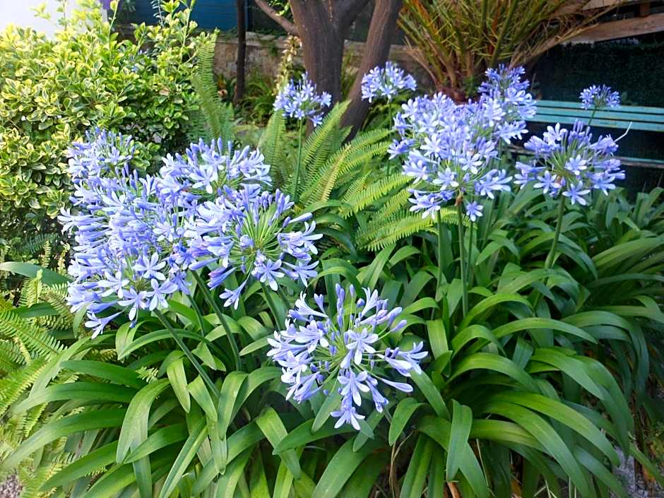 Hotel Villa Les Cygnes