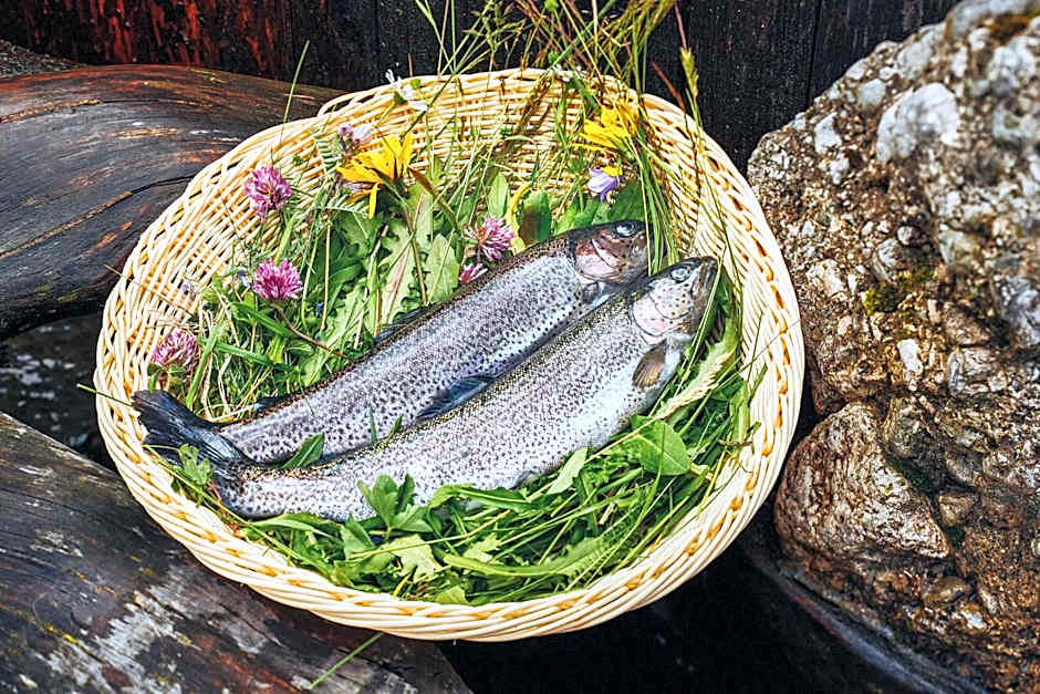 Hotel Gasthof Stuibenfall