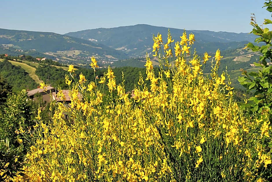 Il borgo Casteldelci