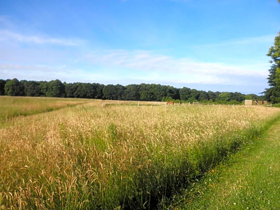 Clumber Lane End Farm