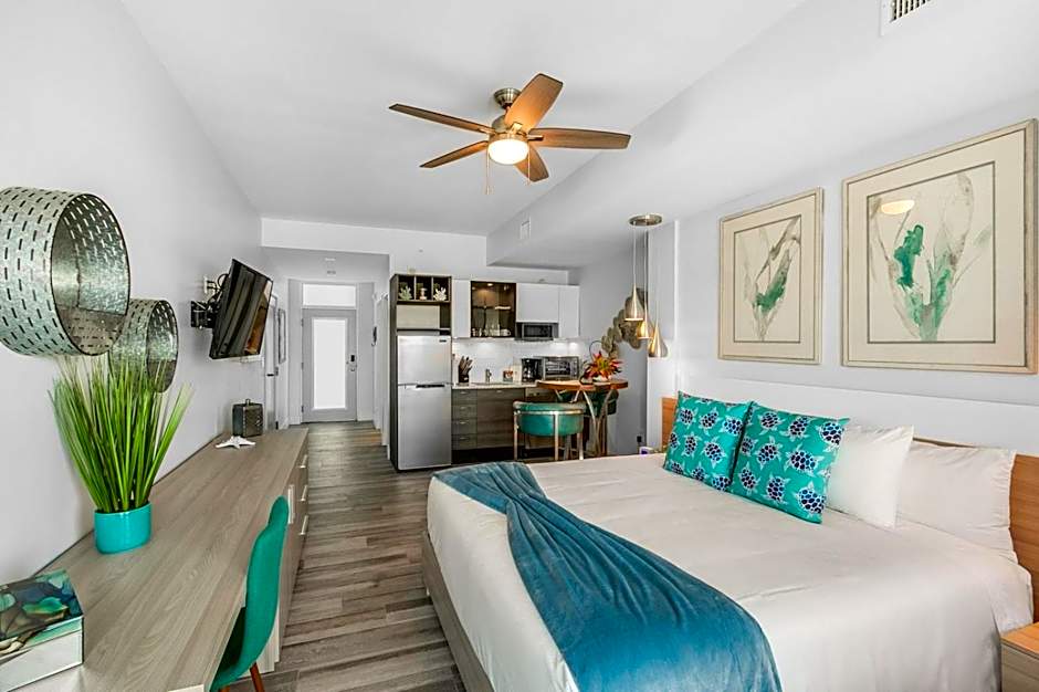 Dolphins Vacation Rental