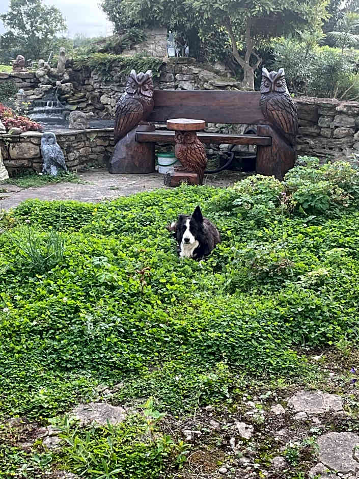 Oakenholt Farm Bed and Breakfast