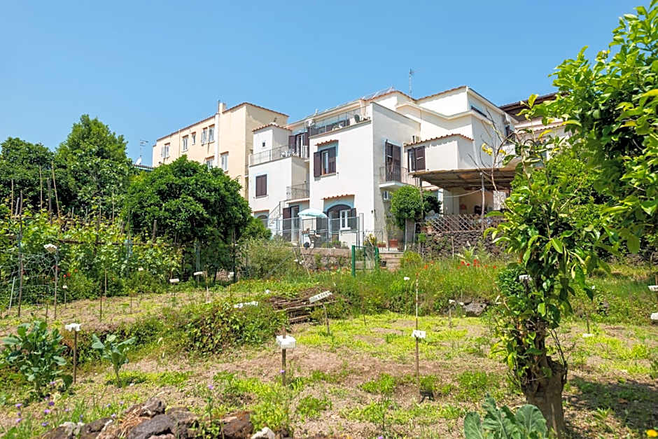 Villa dei Sogni - Aparthotel Ischia Ponte