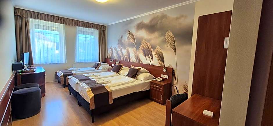 Hotel Patonai