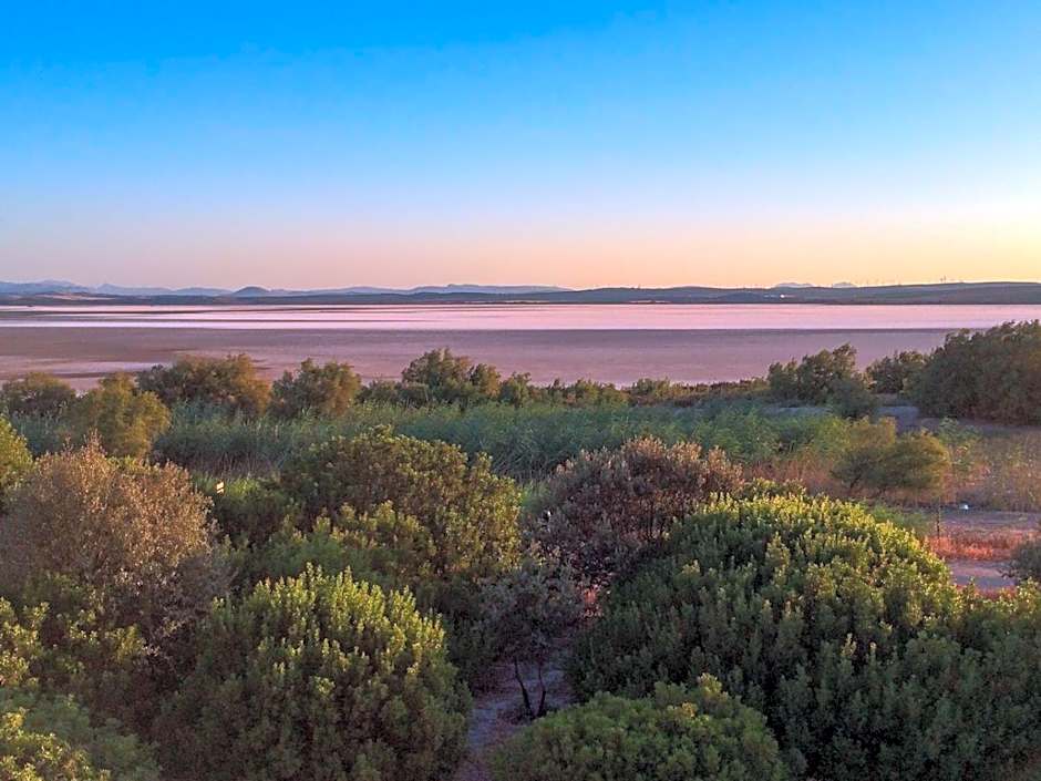 Apartamentos La Laguna