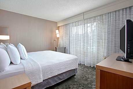 Large One-Bedroom King Suite with Sofa Bed