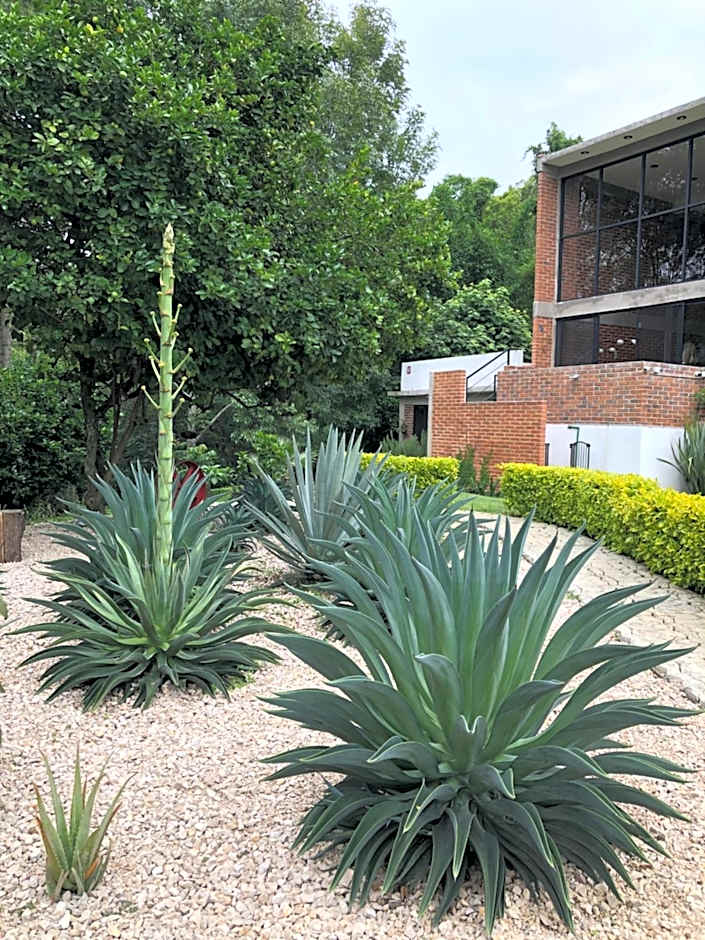Las Orquídeas