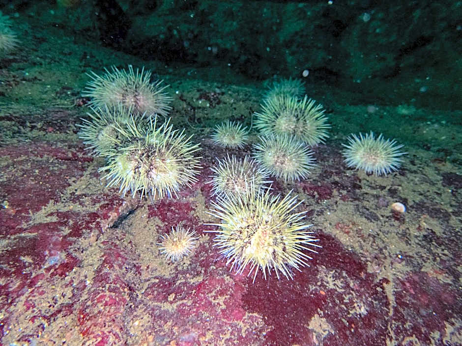 The Tuwanek Bed and Breakfast