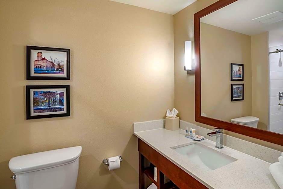 Comfort Inn & Suites Harrisonburg