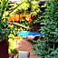 BE Jardin Escondido By Coppola
