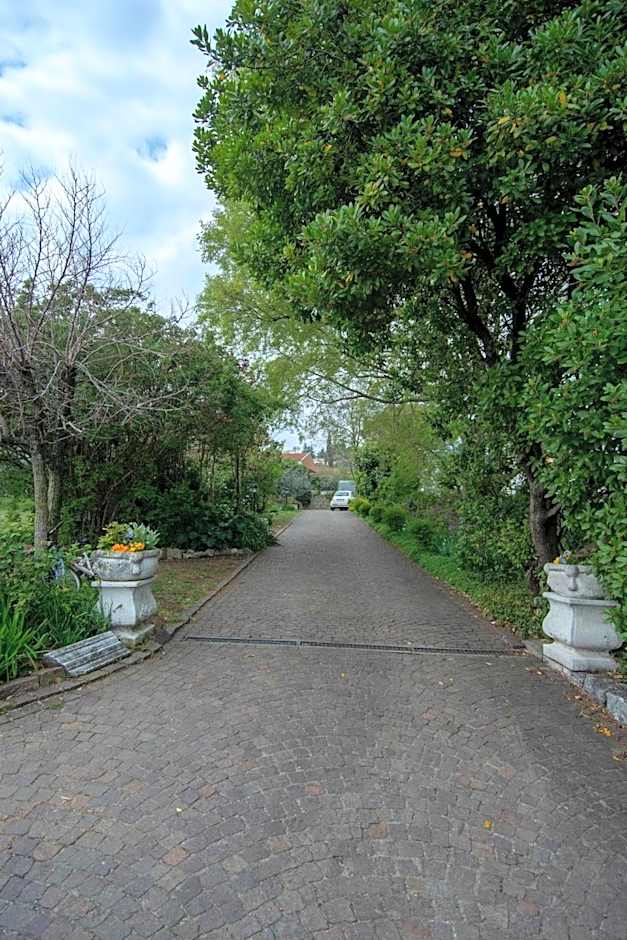 El Rincon del Artista