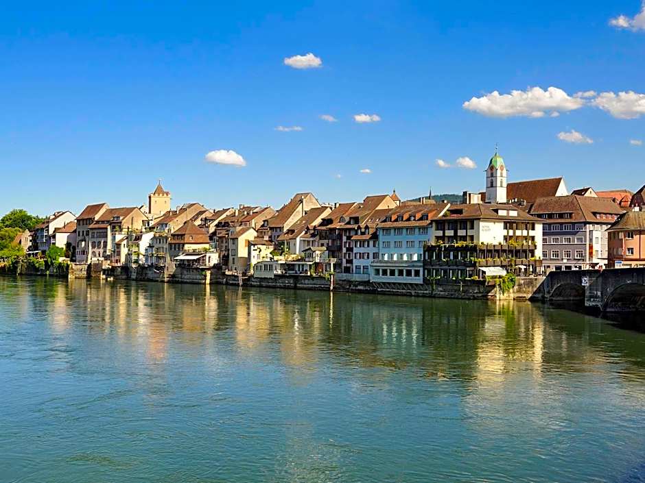 ibis budget Basel City