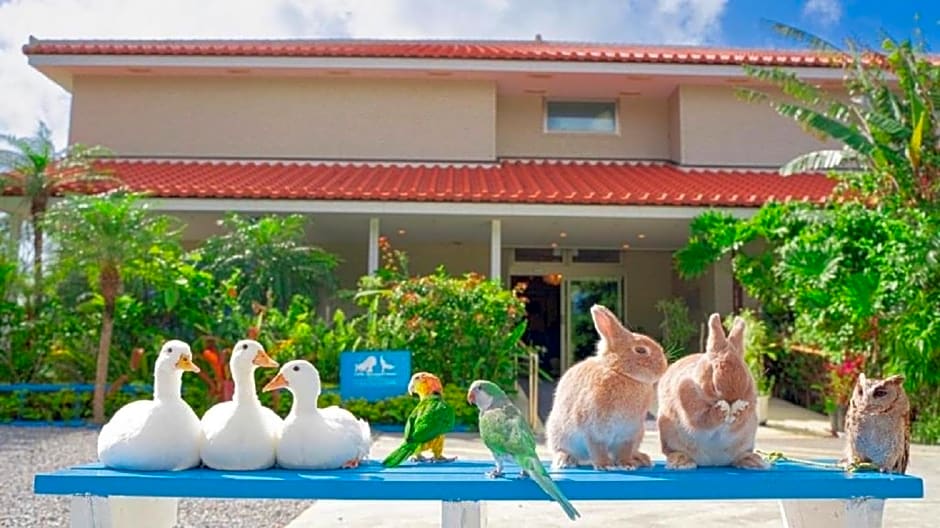 Little Mermaid Hotel Ishigakijima