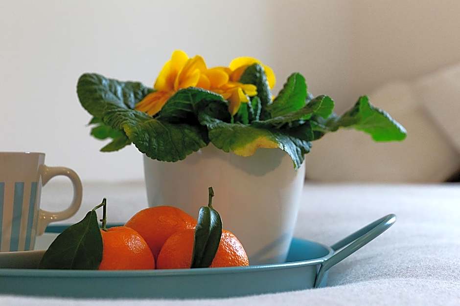 B&B La Terrazza di Barbara