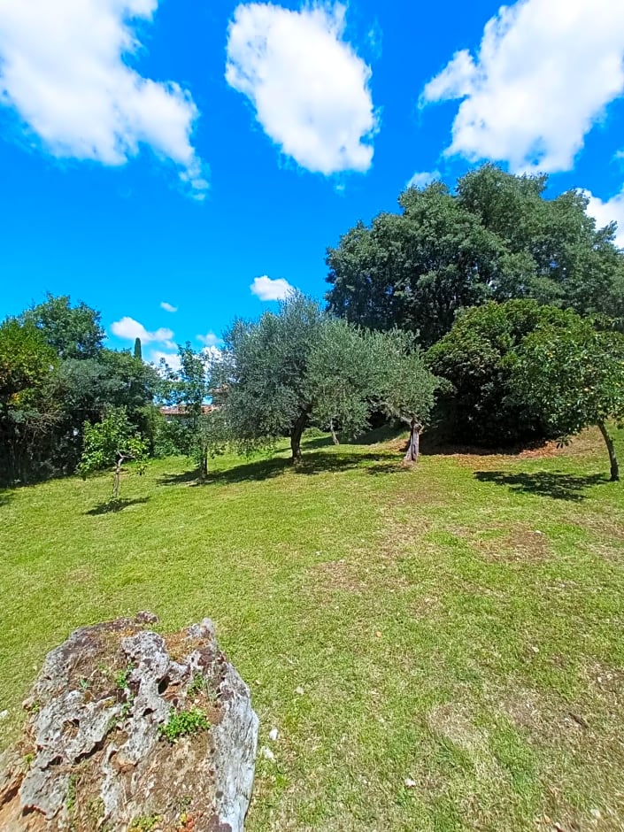 All'Ombra di San Damiano