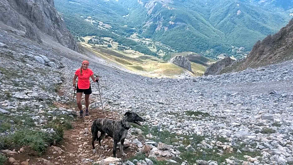 Refugio La Ardilla Real