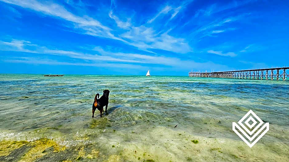 Masai Mara Zanzibar - Boutique Hotel