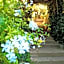 Delle Rose