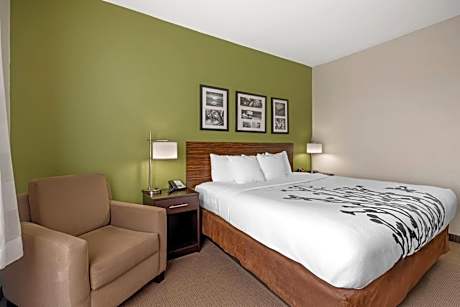 1 King Bed, Nonsmoking