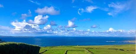 Ocean View Guestrooms