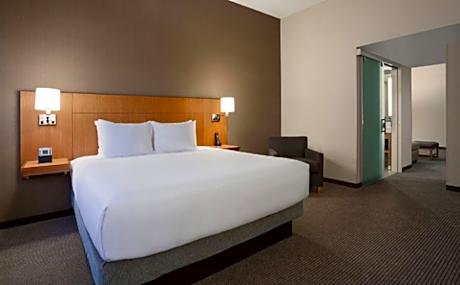King Room with Sofa Bed and Roll-In Shower - Disability Access