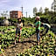 Yilan Real Fun Homestay