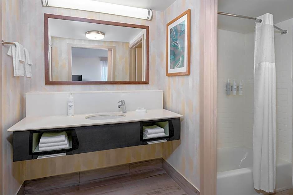 Hampton Inn By Hilton & Suites Tampa Airport Avion Park Westshore