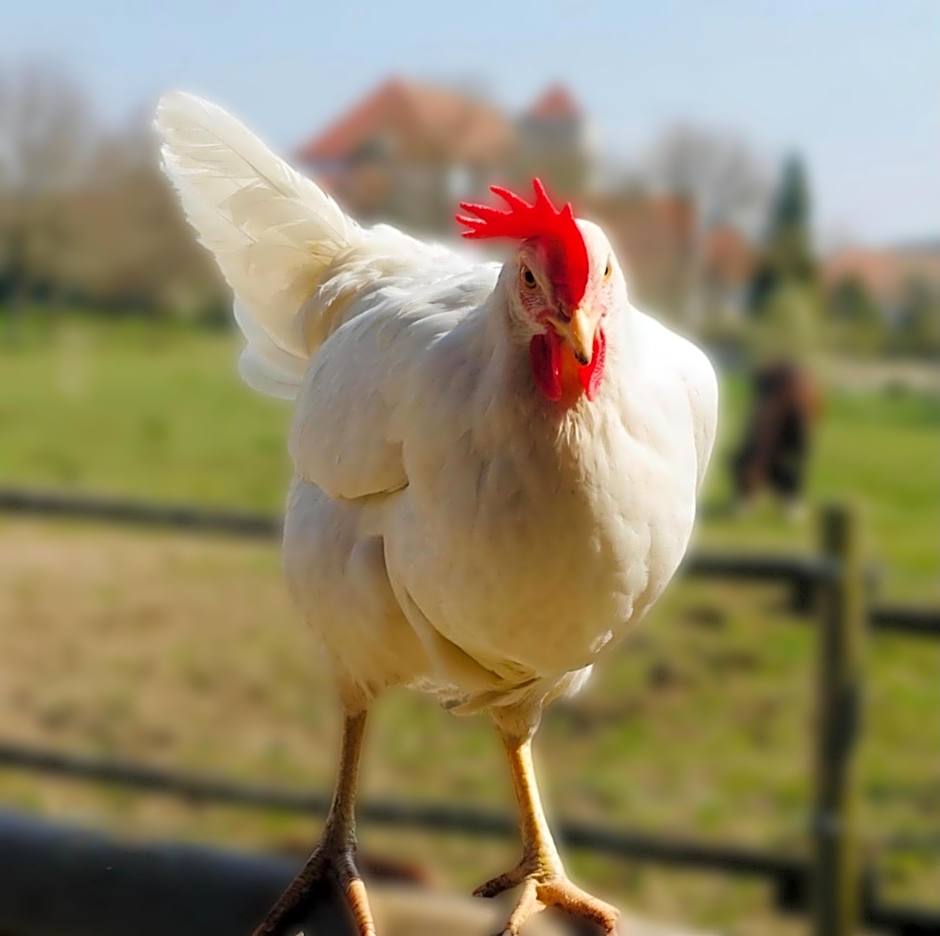 Romantik Hotel Zum Klosterbräu