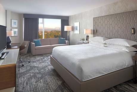 Traditional King Room with Sofa Bed