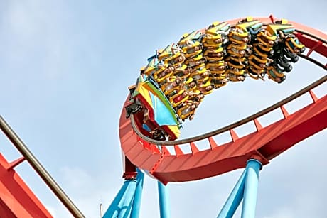 Economy Standard (4 adults)