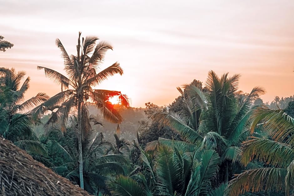 BALI BAMBOO JUNGLE HUTS AND HOSTEL