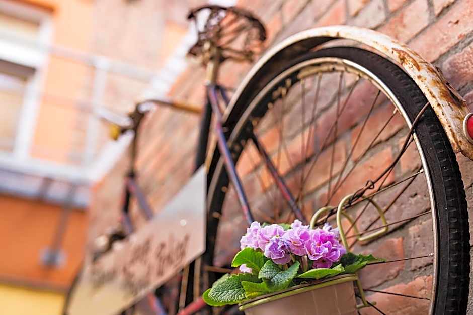 Do Step Inn  Hotel & Hostel