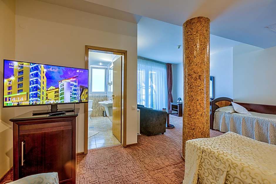 Hotel Ambient