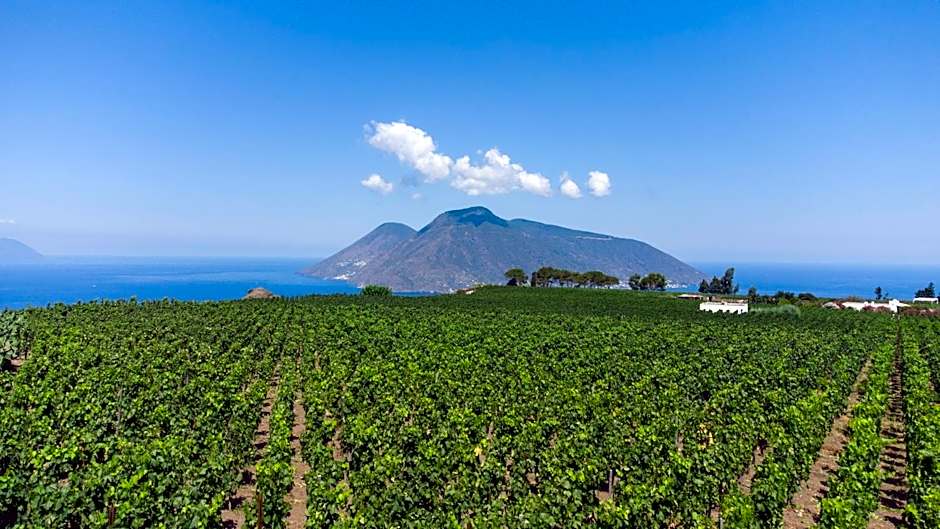 Tenuta di Castellaro Winery & Resort