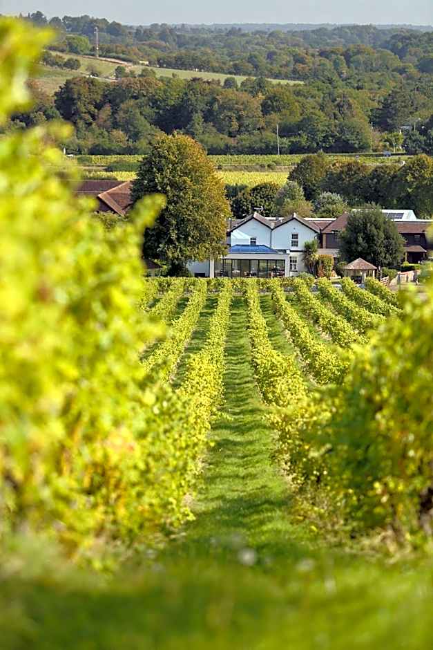 Denbies Vineyard Hotel