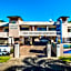 Cairns City Palms