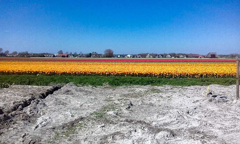 B&B boerderij rust, in pipowagens!