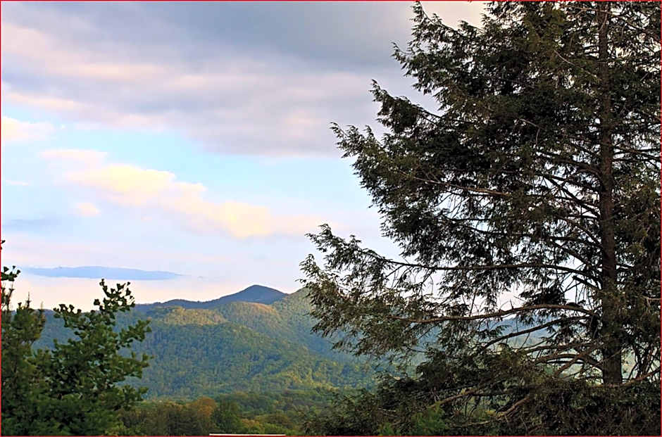 Franklin Terrace Bed and Breakfast